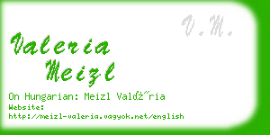 valeria meizl business card